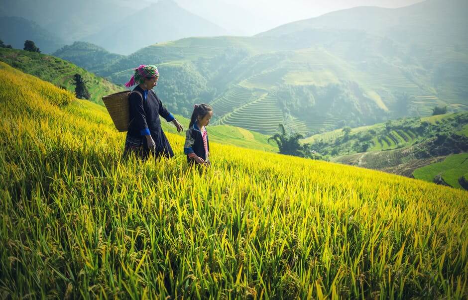 Mother and daughter walking down a hill of rice plantations, climate in Cambodia