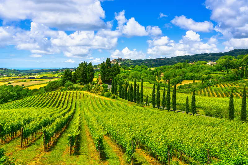 pisa in italy fields and countryside