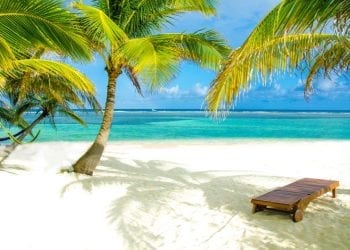 a beach chair and palm trees belize