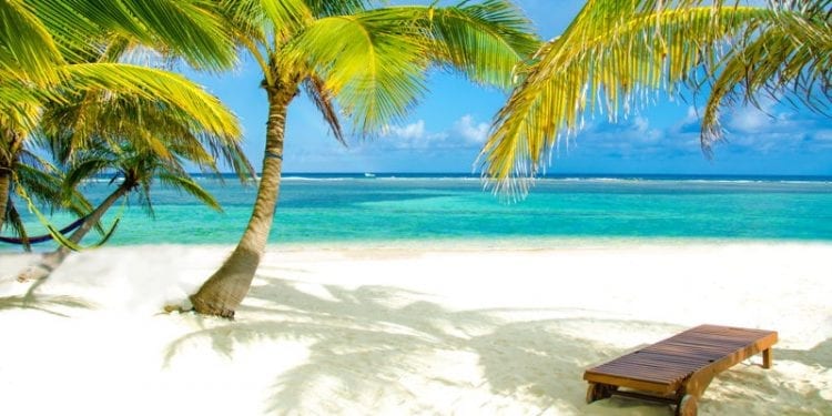 a beach chair and palm trees belize