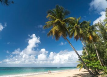 Palm fringed beach in Las Terrenas, Samana peninsula, Dominican Republic