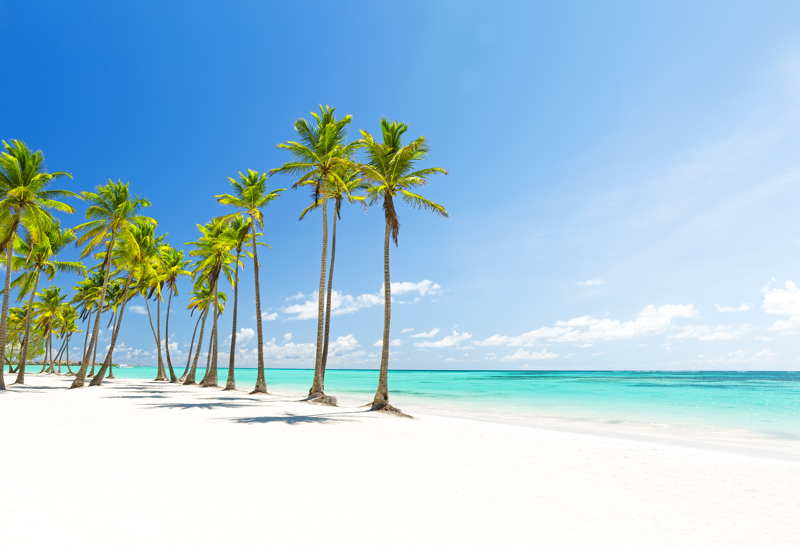 punta cena beach in the dominican republic palm trees caribbean sea