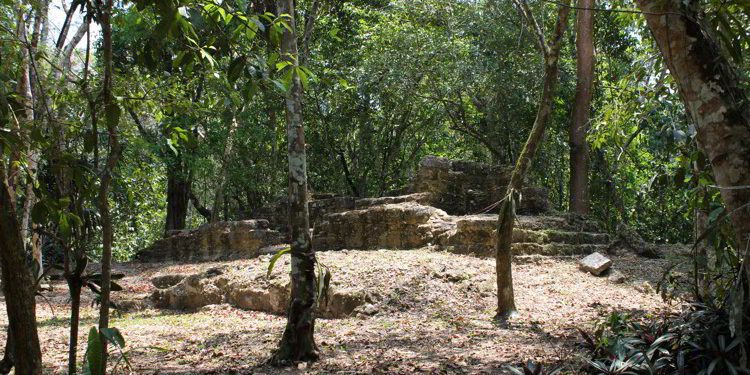 El Pilar, Mayan ruins in Belize