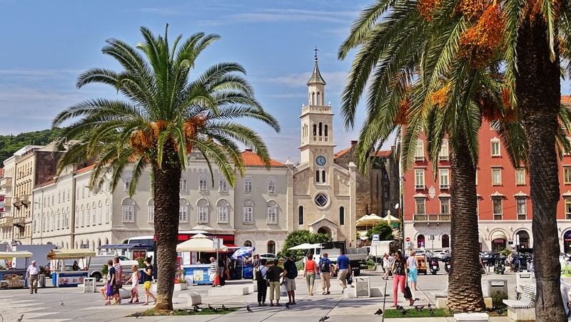 split croatia town center with palm trees and church. move to croatia