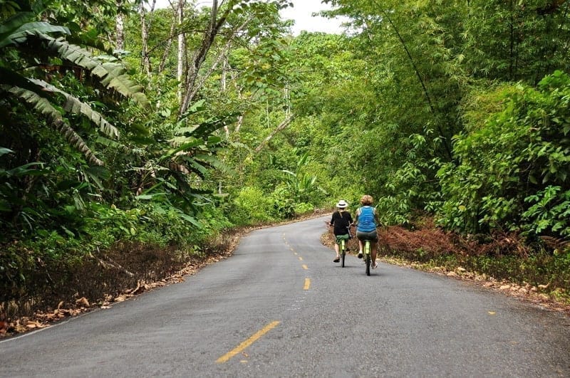 Active senior couple riding bicycles.