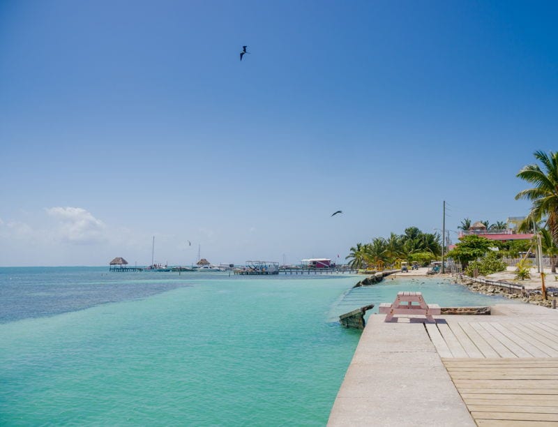 Belize Caye Caulker green sea. Live In Belize