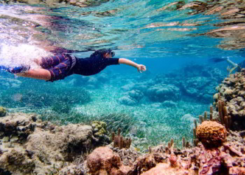 Underwater image of boy snorkeling through coral reef near Ambergris Caye, Belize