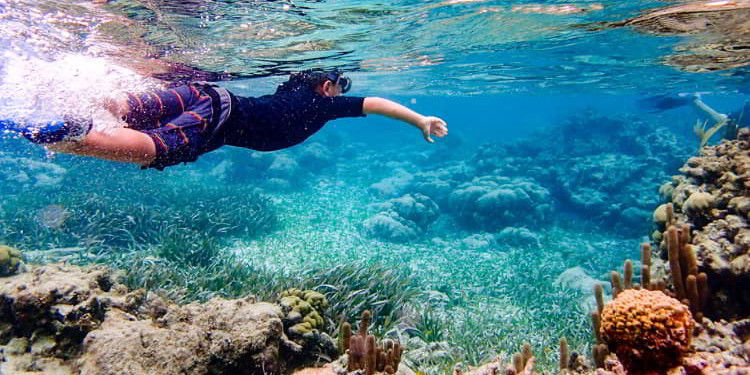 Underwater image of boy snorkeling through coral reef near Ambergris Caye, Belize