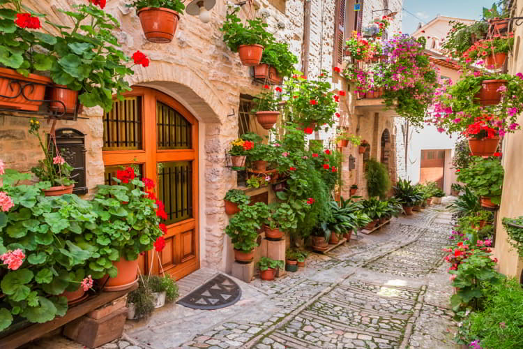 Street in small town in Umbria Italy in summer. economy in italy