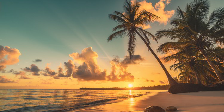 Tropical beach in Punta Cana, Dominican Republic