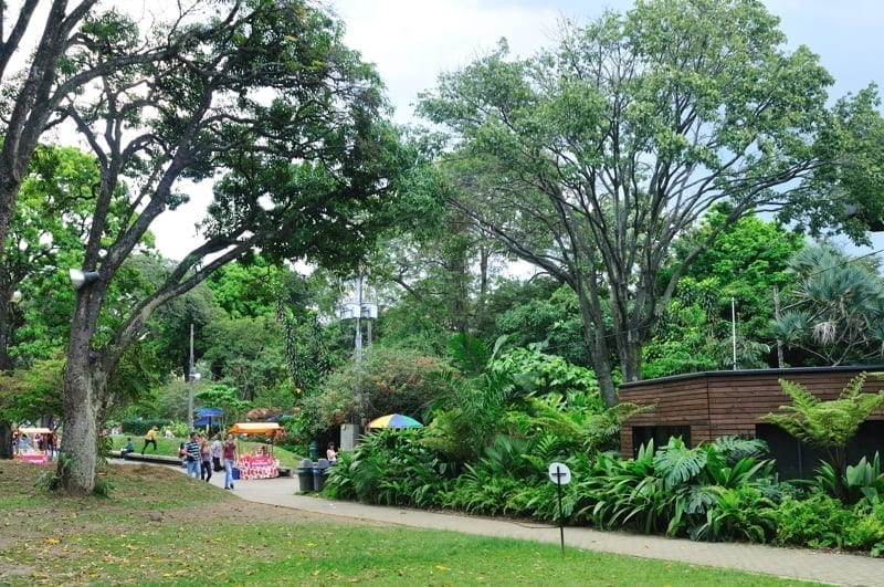 Medellin Botanical Garden.