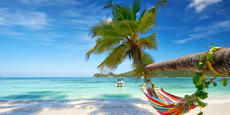 sunny beach with a hammock. How To Retire Overseas