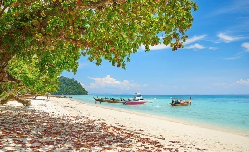 Beach of Koh Rok Island, Krabi Province, Thailand