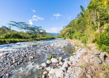 Caldera creek in the jungle with blue sky in a sunny day panoramic view in Panama