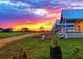 sunrise over Carmelita Gardens in Belize