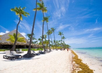 Tropical beach in Sargasso sea, Punta Cana, Dominican Republic