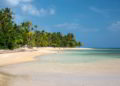 Mangrove trees grow on the beach in crystal clear tropical water in Las Terrenas beach, Dominican Republic