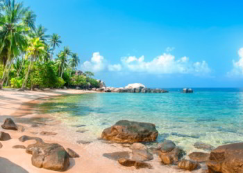 Beautiful tropical beach at exotic island with palm trees