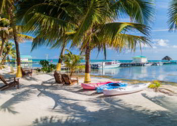 Palms and beach at Caye Caulker island, Belize