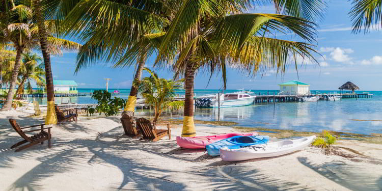 Palms and beach at Caye Caulker island, Belize