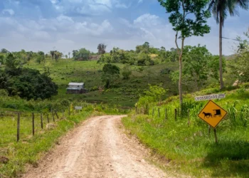 Backroad in the Cayo District of Belize near Mennonite settlement of Spanish Colony.