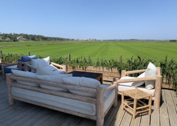 Outdoor garden furniture on the terrace in front of the green rice fields in Quinta da Comporta, Portugal