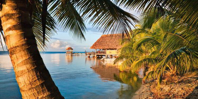 Palm tree and thatched roof hut on beach in Placencia, Belize