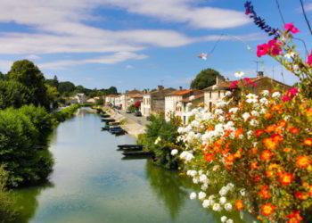 A beautiful view of houses and a river in Marais in Paris with colorful flowers to the right.