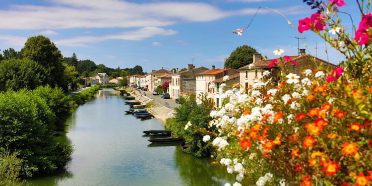 A beautiful view of houses and a river in Marais in Paris with colorful flowers to the right.