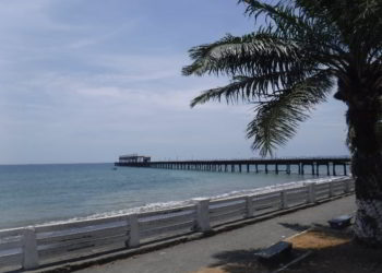 A beach with a palm tree in Puerto Armuelles, Panama