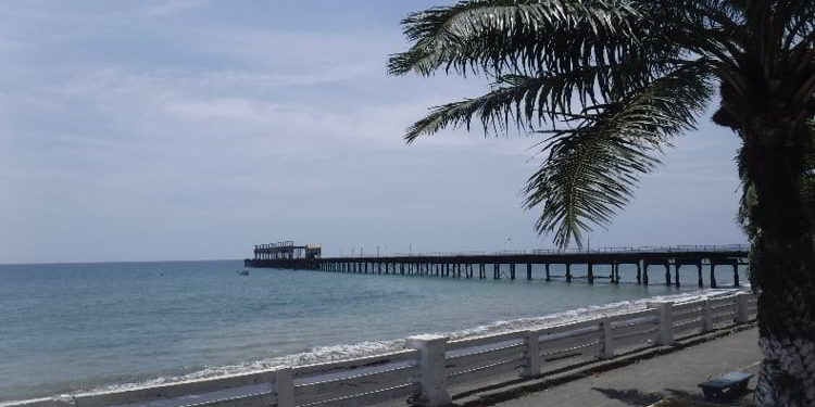 A beach with a palm tree in Puerto Armuelles, Panama