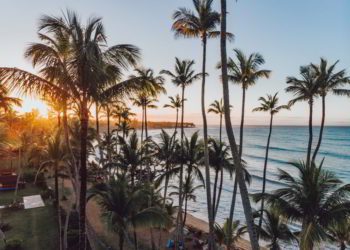 Aerial drone view of the paradise beach with palm trees and blue water of Atlantic ocean at sunset, Las Terrenas, Samana Dominican Republic