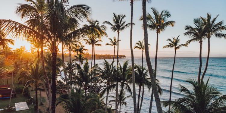 Aerial drone view of the paradise beach with palm trees and blue water of Atlantic ocean at sunset, Las Terrenas, Samana Dominican Republic