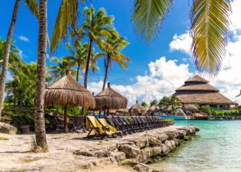 Beach with sun beds under the palm trees