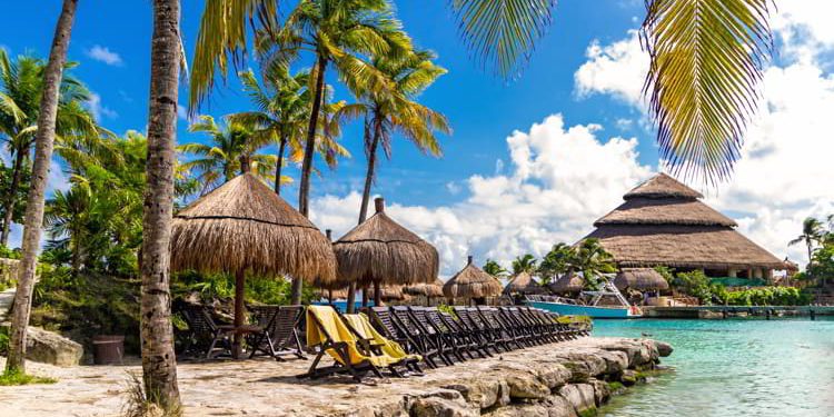 Beach with sun beds under the palm trees