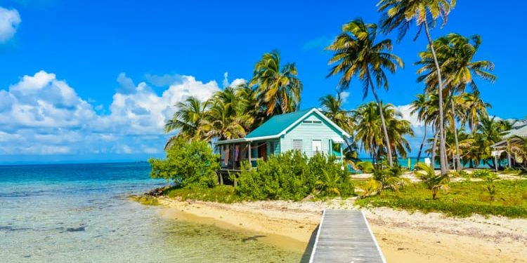 Paradise beach on island Caye Carrie Bow Cay Field Station, Belize.