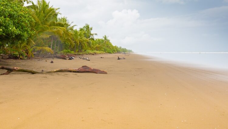 Panama Las Lajas beach in Chiriqui region near the Costa Rica border. las lajas