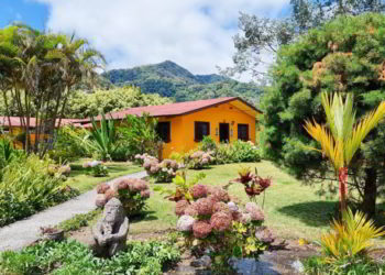 Panama, Boquete, villa with lush tropical garden in the jungle among the volcanic hills