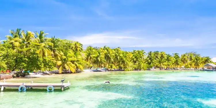 why-expats-are-moving-to-belize-the-perfect-destination