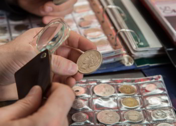 Two numismatists examine collection of coin