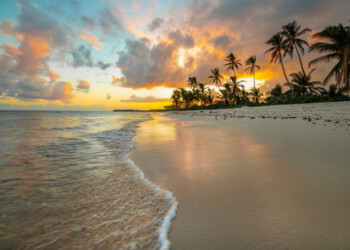 A white sand beach in Punta Cana, Dominican Republic