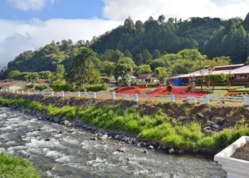 Garden in Boquete, Panama. expat living