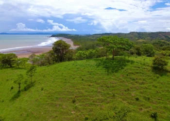 Green meadow with amazing view of tropical beach by the Pacific Ocean