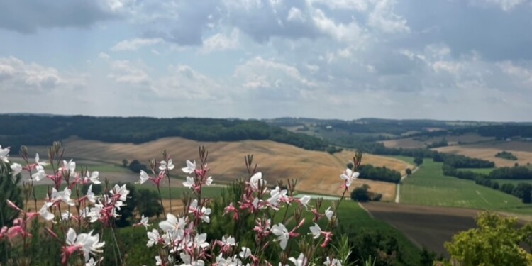 Gascony’s seemingly unending agricultural landscape.