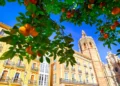 Valencia Spain Architecture and Orange Tree