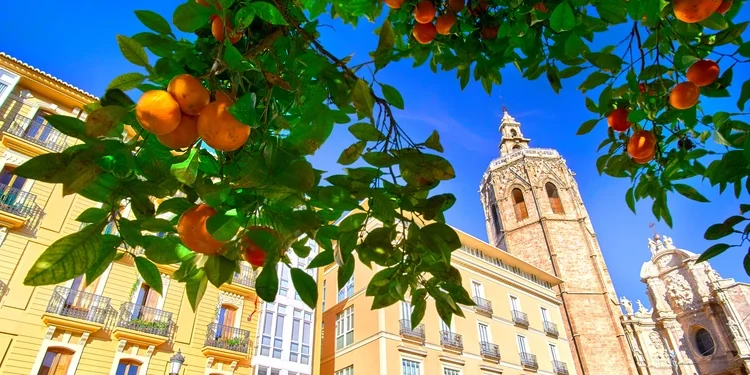 Valencia Spain Architecture and Orange Tree