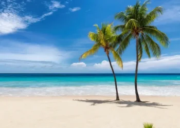 Tropical white sand beach with coco palms and the turquoise sea on Caribbean island. best options to establish residency