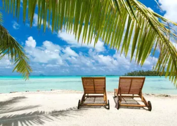 tropical beach with palm tree and two sunbeds in french polynesia. your best life overseas