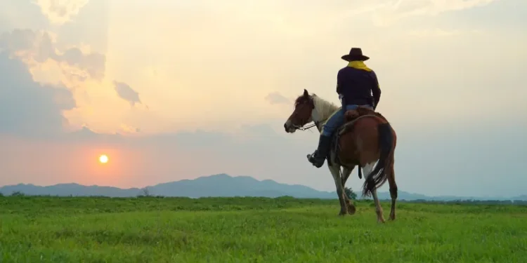 Cowboy and horse at first light,mountain, river and lifestyle with natural light background