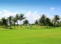 palm trees in a golf course in Mexico. golfing havens